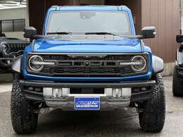 ブランドを象徴するモデルとしてフロントグリ中央には大きな「FORD」のプレートが添えられております。