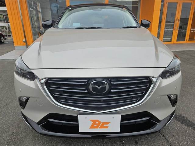 BUDDICAは、『車を売る』プロではなく、『車を安く仕入れるプロ』とお考え下さい。
