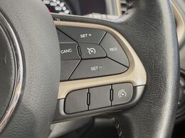 ●オートクルーズコントロール：高速道路や自動車専用道路等にて、定速巡航が可能となる便利な機能です。長距離移動の際でも疲れにくく便利にお使いいただけます♪