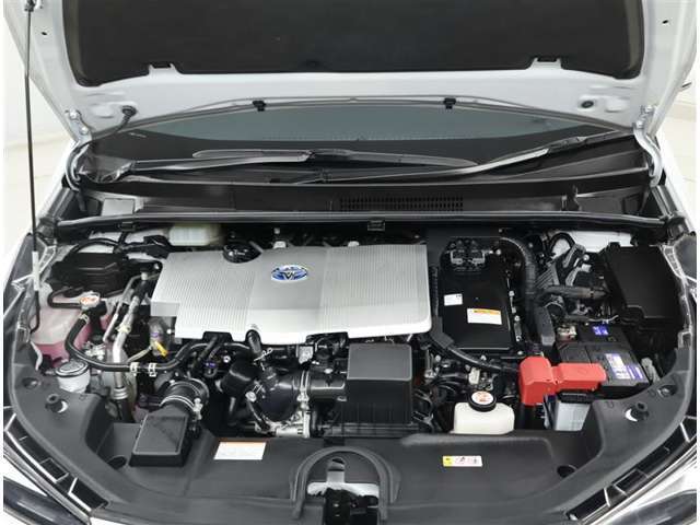 エンジンルームもクリーニング済みです。きれいにしているとトラブルの早期発見が出来ますね！