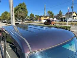 ルーフ：雹害跡