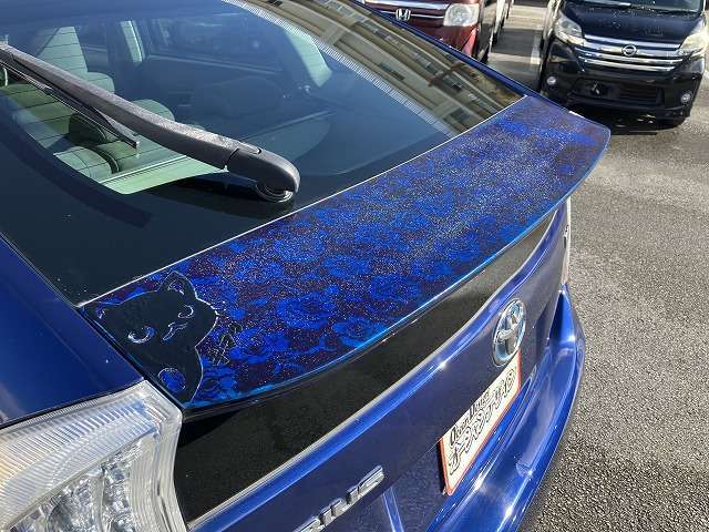 南城市、豊見城市、糸満市、那覇市、宜野湾市、南風原町、浦添市、八重瀬町、中城村、北中城村、北谷町、嘉手納町、沖縄市、読谷村、うるま市、恩納村、宜野座村、名護市、本部町、今帰仁村、東村、大宜味村、国頭村