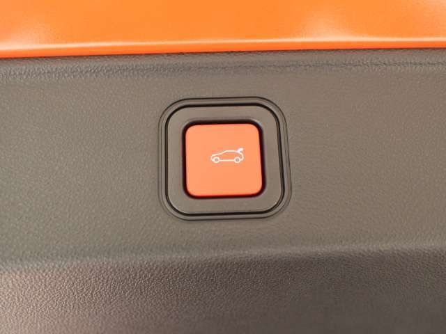 電動テールゲート開閉スイッチ