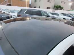 パノラマサンルーフスカイラウンジ装備です。