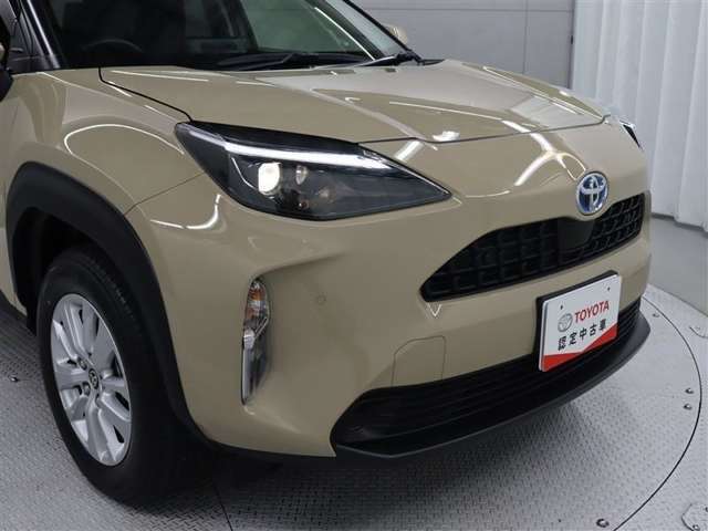 フロント廻りです。