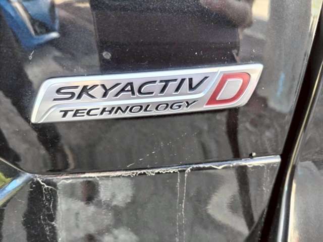 ★修復歴の有無などしっかり表記をしておりますのでご安心ください★