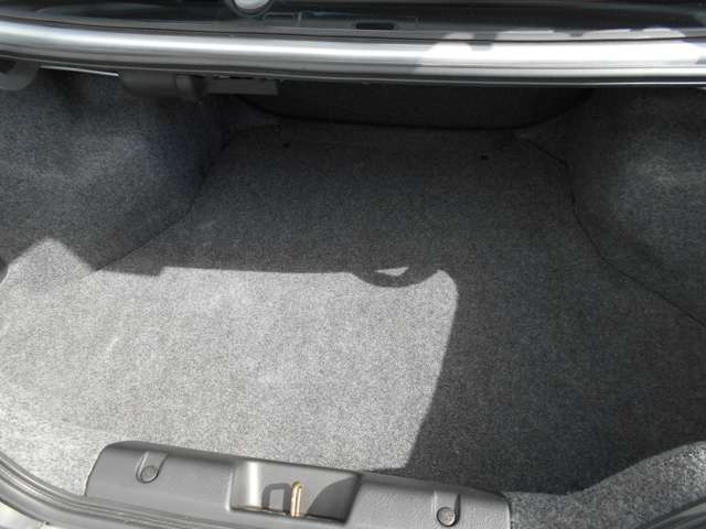 それなりに広いトランクルームです　高さは無いですが縦・横は広いです
