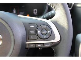 クルーズコントロール付きで高速でもらくらく！