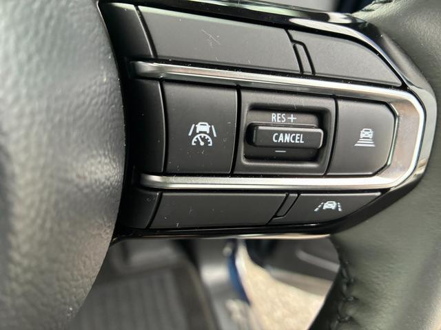 アダプティブクルーズコントロールがとっても便利☆