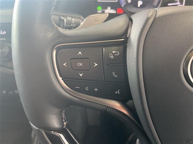 アダプティブオートハイビーム・オートエアコン・黒レザーシート・AC100V電源・パドルシフト・SOSコール・本革巻ステアリング・シーケンシャルウィンカー・ウィンカードアミラー・電動格納ドアミラー 　　　　　　→