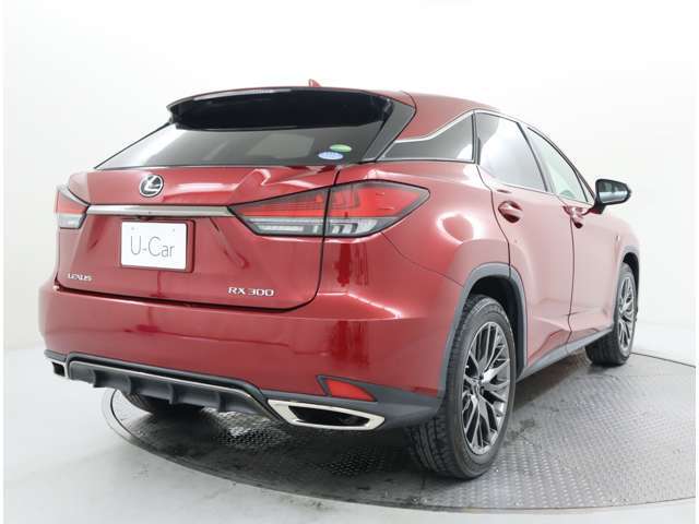 迫力のリヤビュー