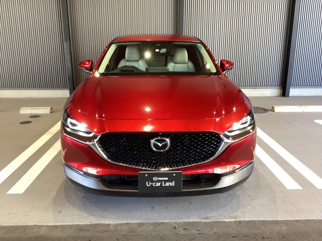 CX-30のエクステリアデザインは、小さなさざ波が周囲と連動しながら大きなうねりとなって拡散していく様子は、さながら光のアートです。