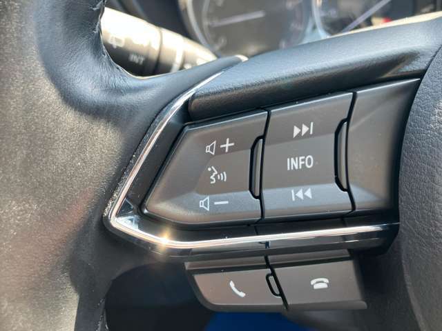 オーディオの音量などはハンドルのスイッチでわき見することなく安全に操作することができます。