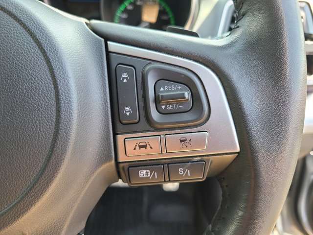 4WD/1オーナー/サンルーフ/ハーマンカードンサウンド/本革電動メモリーシート/前後席シートヒーター/アイサイトver3/レーダークルコン/レーンアシスト/パワーリヤゲート/純正ナビ/バックカメラ