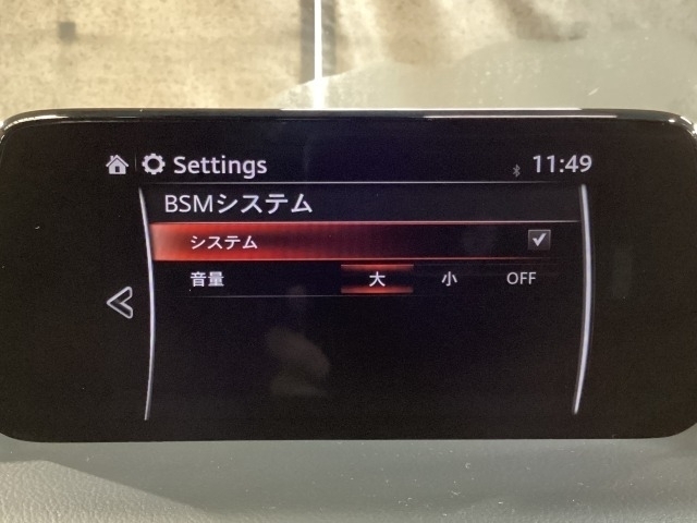TCS（トラクションコントロールシステム）＆DSC（横滑り防止機構）やBSM（隣車線上の側・後方からの車両接近を通知）、LDWS（車線逸脱警報システム）で安全運転をサポート！