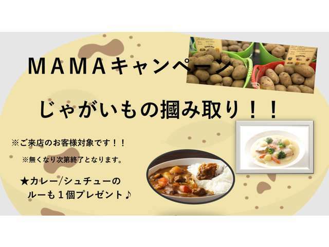 11月は【ジャガイモつかみどりキャンペーン】を開催しております！カレーかシチューのルーもプレゼントいたします！是非店頭までお越しください！