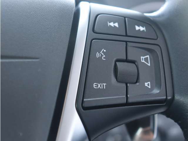 ボルボに精通した整備士が、車両の状態について最大91項目に及ぶチェック基準で厳密な点検整備を実施します。また基本的な消耗部品7品目は無条件で新品交換します。納車時には点検整備記録簿をお渡しします。