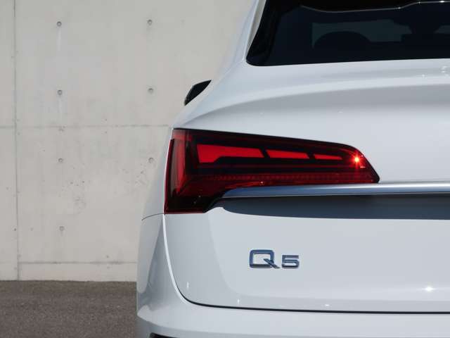 一目でAudiだと分かる特色を持つデザイン。