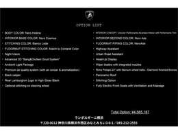 オプションリスト