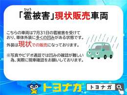 雹による凹みがありますが、その分価格がお買い求めやすくなっております。状態は担当営業までお申しつけ下さい。