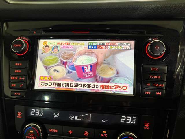 カーナビ＆テレビ付き！