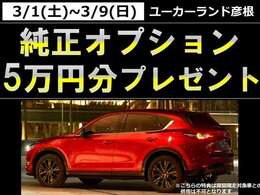 期間限定！純正オプション5万円プレゼント☆詳しくは当店へお問合せ下さい。