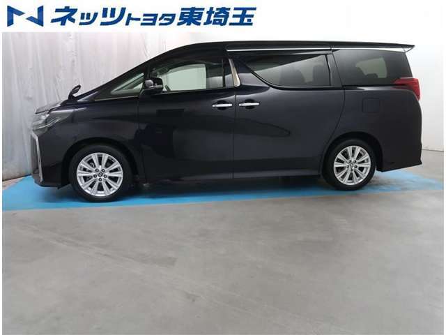 【サイド】左右のスライドドアは電動スライドドアになります。