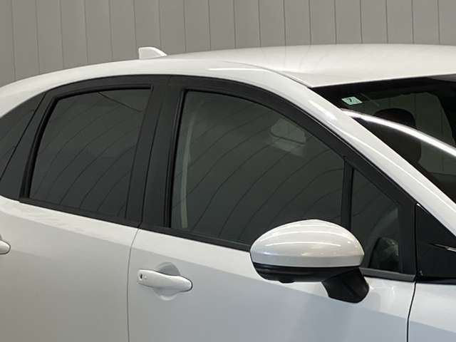プラスチックバイザーがない分デザインもすっきり★洗車の時の窓拭きもラクラクです！