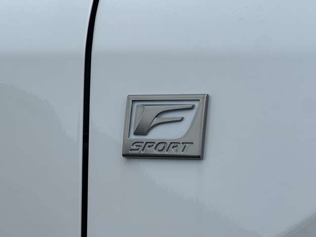 人気のFスポーツ