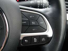 【追従型クルーズコントロール】光学レーダーやビデオカメラを使って前車の動きをチェックして、車間距離を適切に保って一定のスピードをキープするシステム。代表例）アイサイト・レーダークルーズコントロール