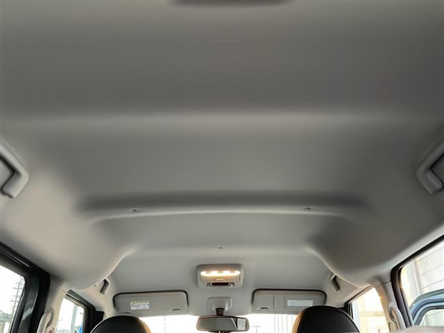 車内内部から見た天井部分です。