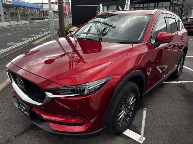 マツダの鼓動デザインは、車に生命感を与え、光の当たり方や天気で見え方が全然違うのが特徴です。