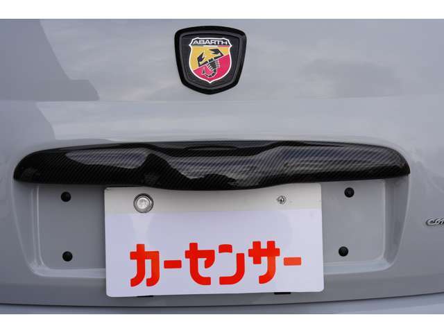カーボンバックドアハンドル