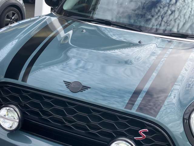 ブラックボンネットストライプもセージグリーンのボディカラーに似合います！