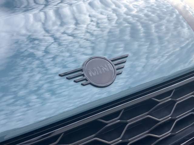 ブラックボンネットストライプ！