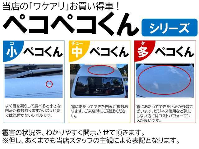 ペコペコくんシリーズの詳細説明です！！　ひょう害車でも色々なパターン・組み合わせがあります。コチラの車両は「ひょう害車」となりますので、画像の説明文をご確認くださいませ！！