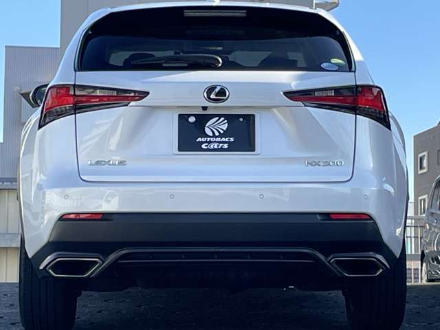 車両後方側外装状態