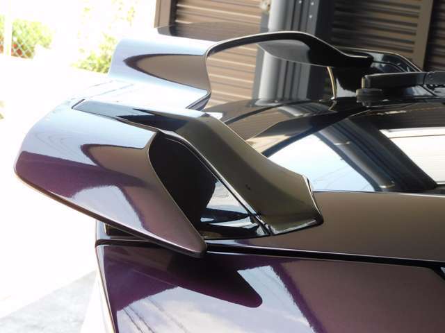 モデューロ製ルーフスポイラ製装備