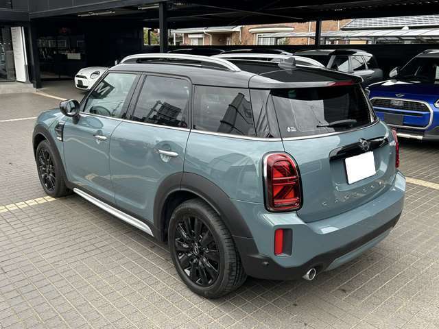 セージグリーン/ブラックのツートンカラー