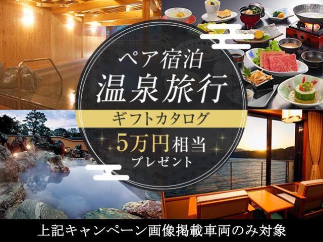 使い勝手の良いタントです。