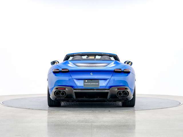 日常の快適性とスポーツカーとしてのダイナミズムを両立したモデルです。