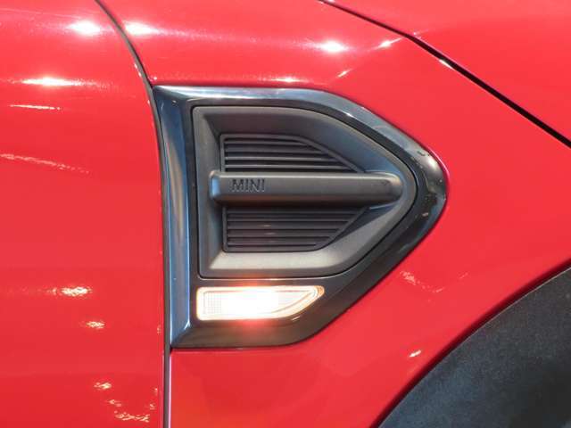 【サイドスカットル】オプションで色んな柄にかえれます！