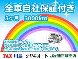 【3ヶ月または走行距離3000キロの無料保証付】※エンジン・ミッションの主要部・ECU（コンピューター）など