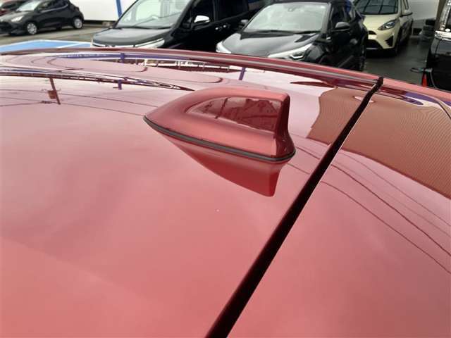 とてもお洒落な「ドルフィンアンテナ」です。