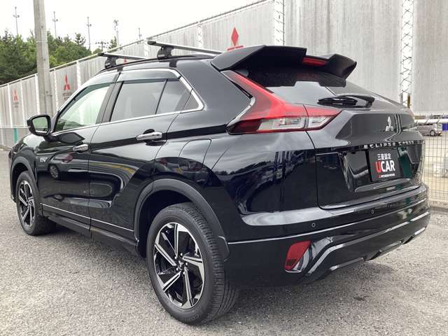 左斜め後からの画像です