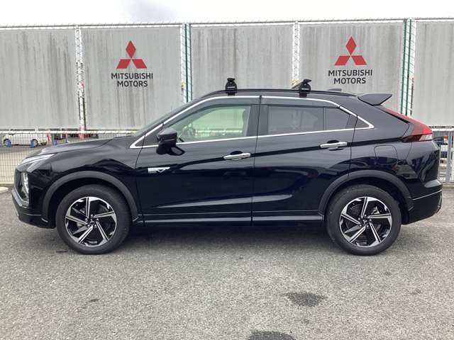 左からの画像です