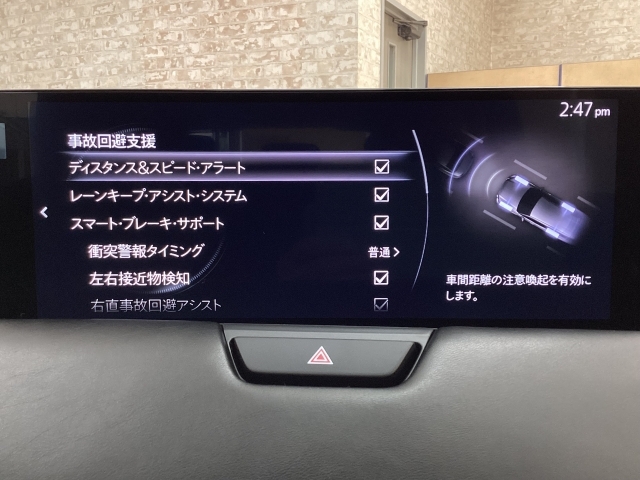 急病などで運転の継続が困難になった場合に、車両を減速・停止させることで、衝突事故やその被害の軽減に寄与します。