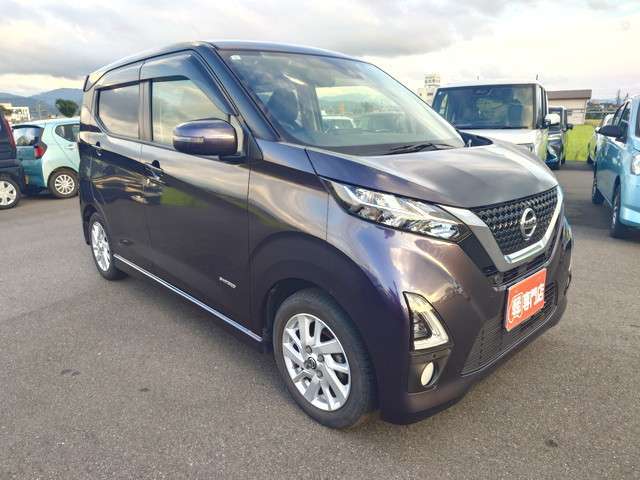 お色はパープルになります。