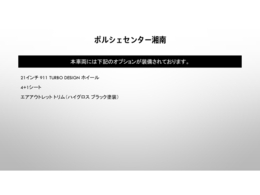 当車両のオプション一覧で御座います。