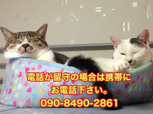 フリーダイヤルが留守の場合、お急ぎのお客様は携帯にお電話下さい。 09084902861 宜しくお願い致します。